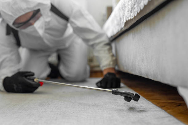 Professional Bed Bug Control technician working in Parksdale, CA