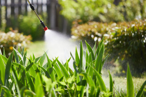 24/7 Emergency Bed Bug Control experts in Parksdale, CA