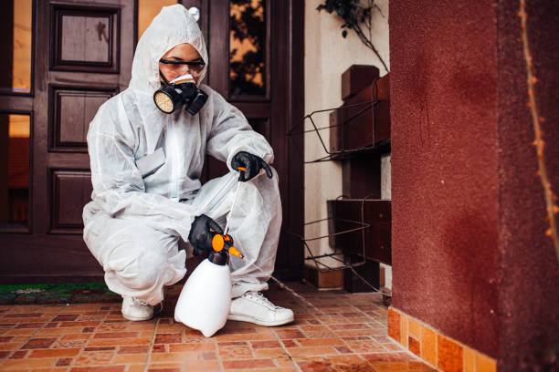 Reliable Bed Bug Control contractor in Parksdale, CA by Nex Pest Control